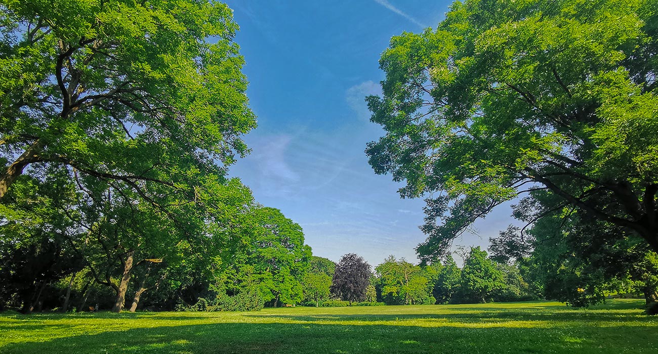 Hauptbühne im Schlosspark